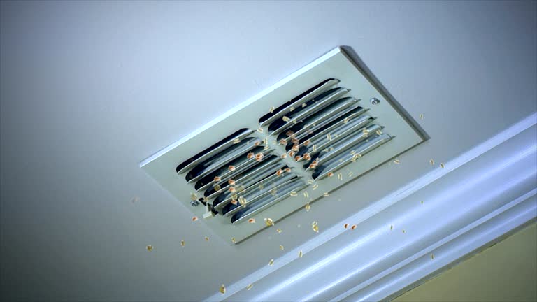 Best Commercial Air Duct Cleaning  in Lake Norman Of Catawba, NC